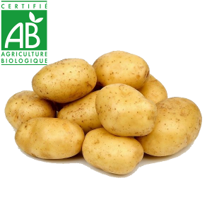 Pommes de terre AB élevées en Agriculture biologique