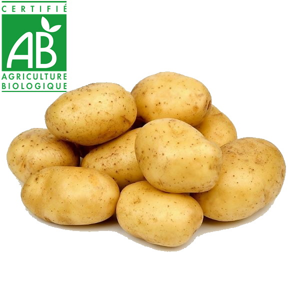 Pommes de terre AB élevées en Agriculture biologique