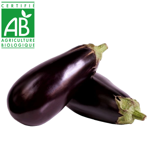 aubergines bio produite en Auvergne en agriculture biologique