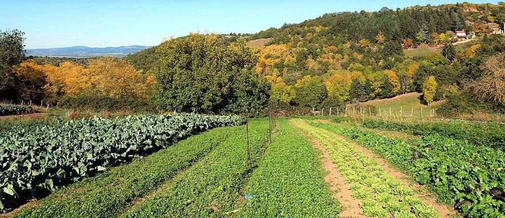 Maraîchage en agriculture biologique en Auvergne : Sandy Laurore