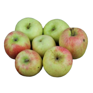 Pommes variété Delbard Estivale grise récoltées en Auvergne