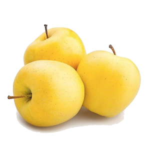 Pommes variété golden récoltées en Auvergne