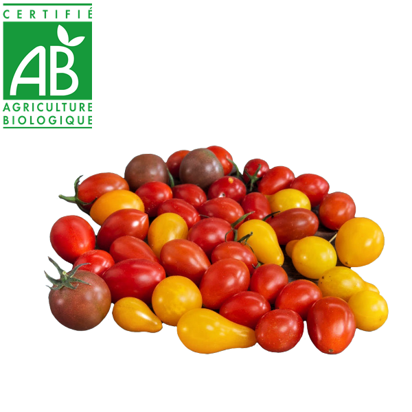 Tomates cerise AB produites en Agriculture biologique Auvergne